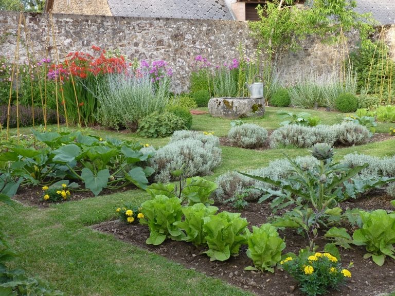 Les carrés de légumes et les fleurs
