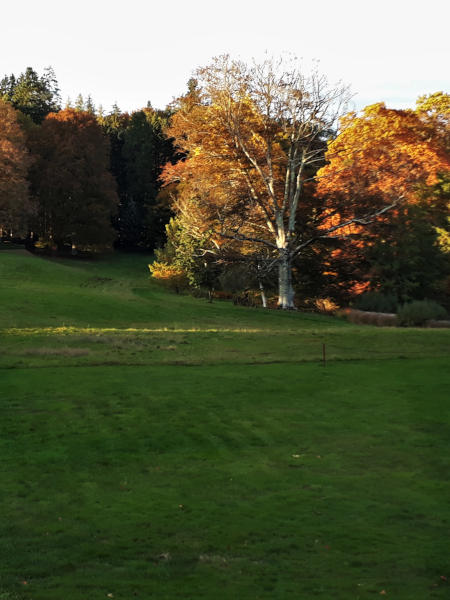 La prairie